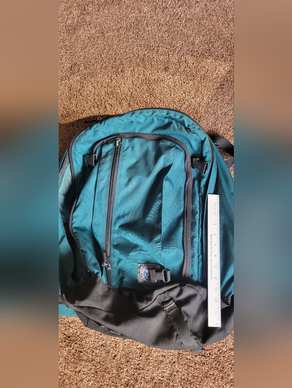 Eagle Creek backpackSmoke free pet free home. No tears, rips. All zips work.